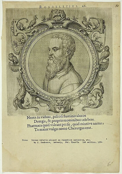 Portrait of Rondeletius, published 1574. Creators: Unknown, Johannes Sambucus