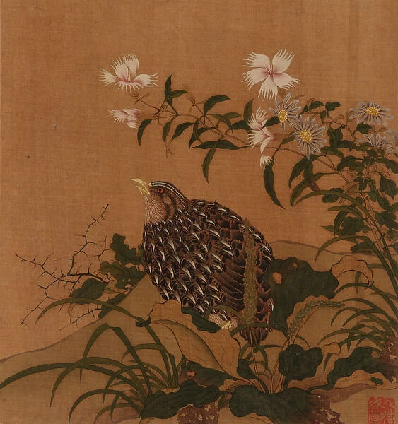 Quail and flowers, Qing dynasty, 18th century. Creator: Unknown