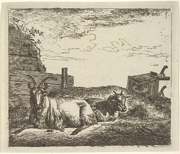 Recumbent Goats, from Different Animals. Creator: Adriaen van de Velde