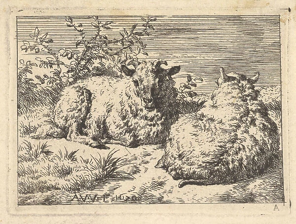 Two Recumbent Sheep, 1670. Creator: Adriaen van de Velde