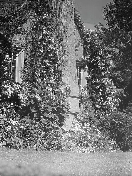 Residence of Mr. Hamilton King, 1934 July. Creator: Arnold Genthe