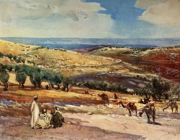 On the Road from Jerusalem to Bethany, 1902. Creator: John Fulleylove