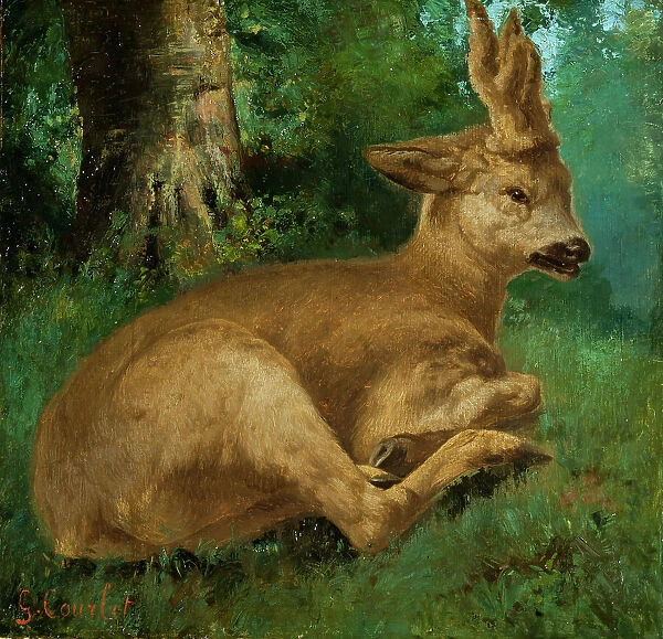 Roebuck. Creator: Courbet, Gustave (1819-1877)
