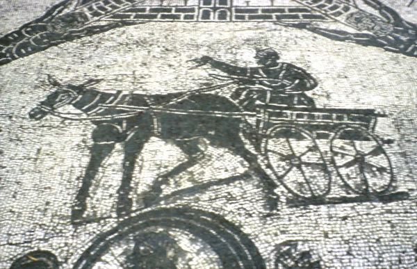 Roman cart, mosaic from the frigidarium, Ostia, Italy, c150