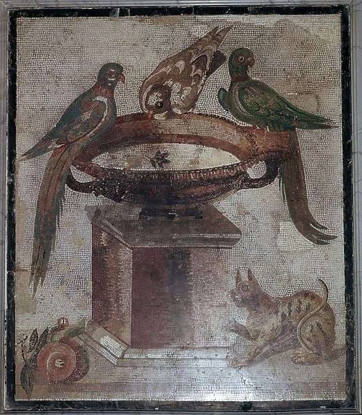 Roman mosaic of birds and a cat at a fountain, 1st century
