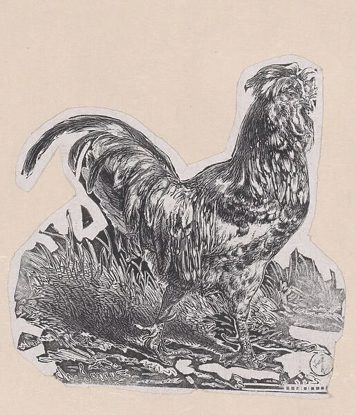 The Rooster, ca. 1853. Creator: Charles Emile Jacque