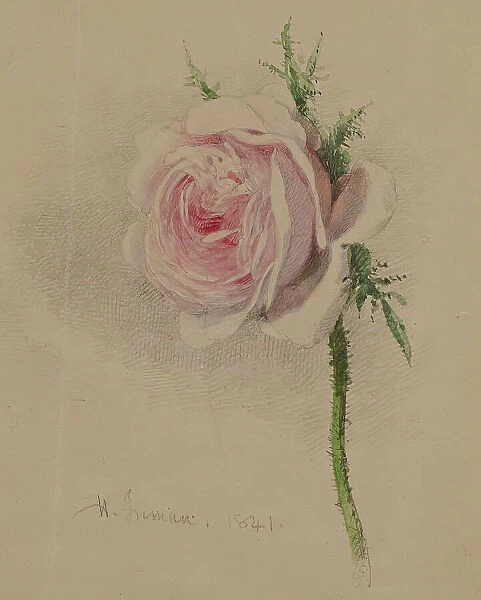 A Rose, 1841. Creator: Henry Inman