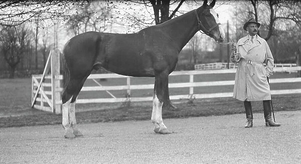 Rossbach, Max, Mr. with horse, 1932 May 1. Creator: Arnold Genthe