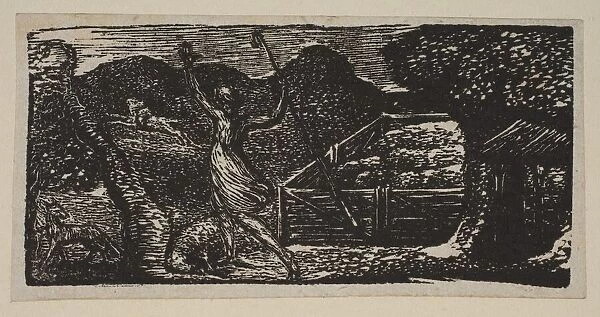 Shepherd Chases Away a Wolf, from Thorntons Pastorals of Virgil, 1821