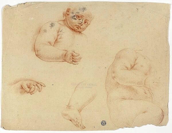 Sketches of a Child: Half-Length, Torso, Foot, Hand, 1700 / 1799. Creator: Unknown
