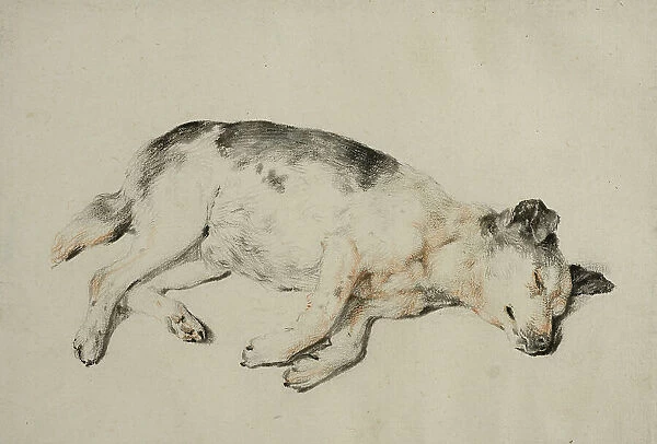 Sleeping dog. Creator: Cornelis de Visscher