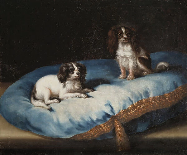 Two smaller dogs, c17th century. Creator: David Klocker Ehrenstrahl
