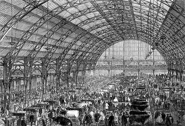 The Smithfield Club Cattle Show at the new Agricultural Hall, Islington, 1862. Creator: Unknown