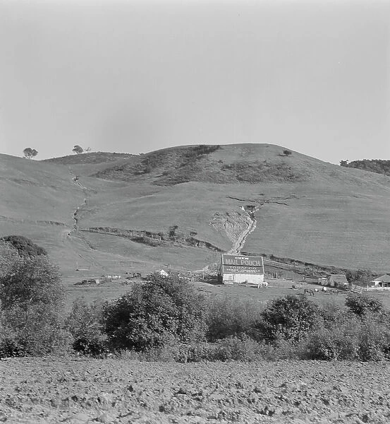 Soil erosion in California hills, small dairy ranch near Gibson, California, 1937. Creator: Dorothea Lange