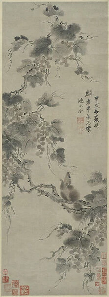 Squirrel and Grapes, 1694. Creator: Shen Yongling