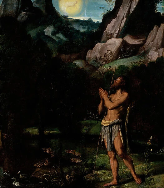 St. John the Baptist in the Wilderness, c1535. Creator: Moretto da Brescia