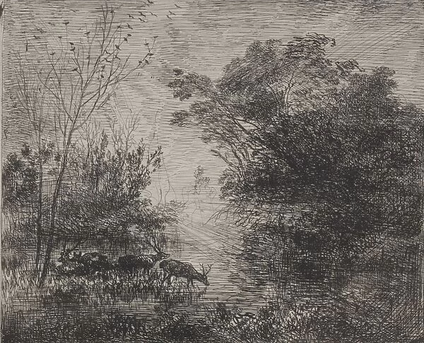 Stags, 1862. Creator: Charles Francois Daubigny (French, 1817-1878)