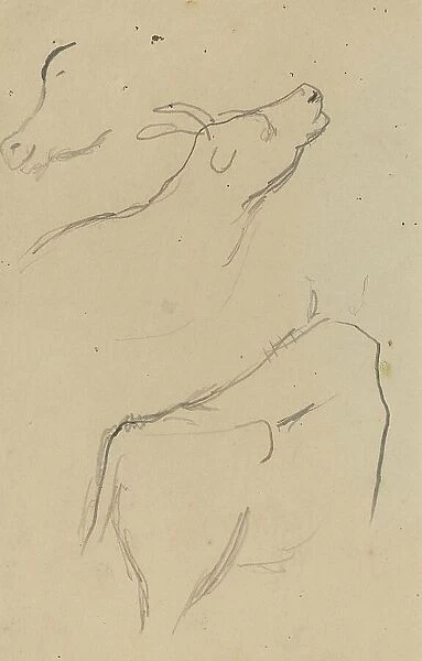 Studies of a Cow [verso], 1884-1888. Creator: Paul Gauguin