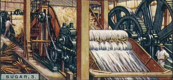 Sugar, 3. Crushing the Canes, Java, 1928