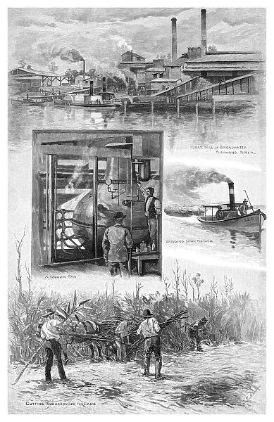 The sugar industry, Richmond River, New South Wales, Australia, 1886. Artist: JR Ashton