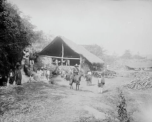Sugar mill at Temasopa [sic], between 1880 and 1897. Creator: William H. Jackson