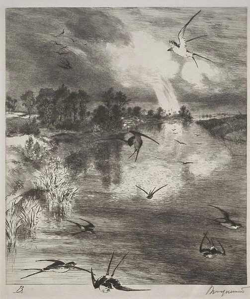 Swallows, 1882. Creator: Felix Bracquemond (French, 1833-1914)