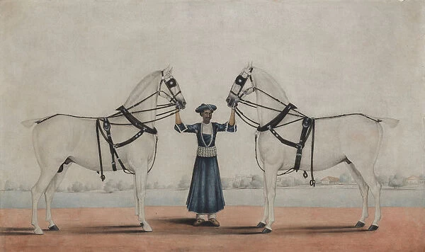 A Syce (Groom) Holding Two Carriage Horses, ca. 1845. Creator
