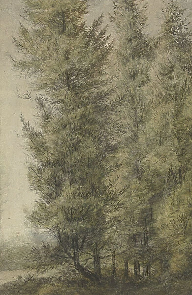 Tall pines on the edge of a forest, 1619-1690. Creator: Anthonie Waterloo