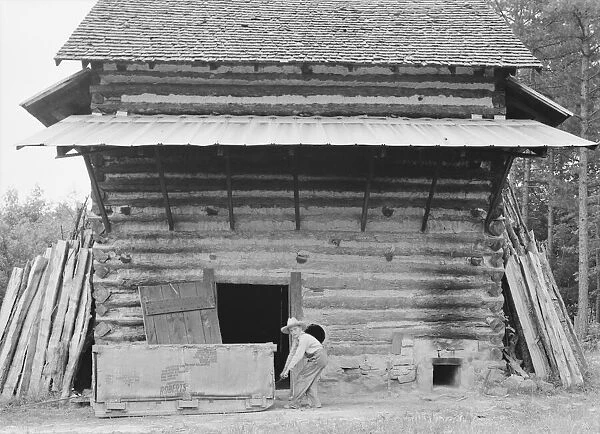 Tobacco barn ready for 'putting in', Person County, North Carolina, 1939. Creator: Dorothea Lange
