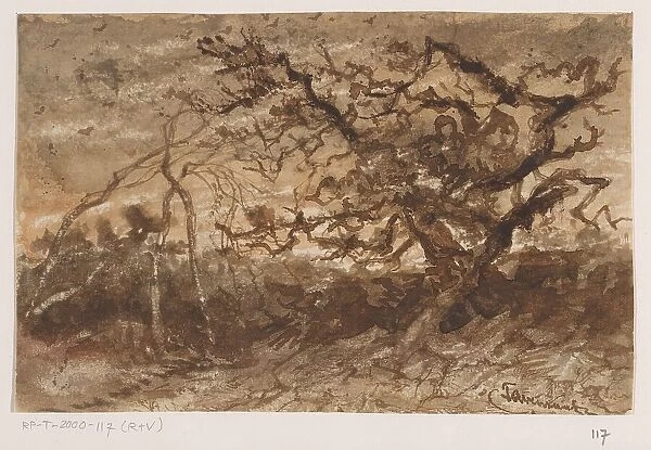 Tree at sunset, 1835-1845. Creator: Johannes Tavenraat