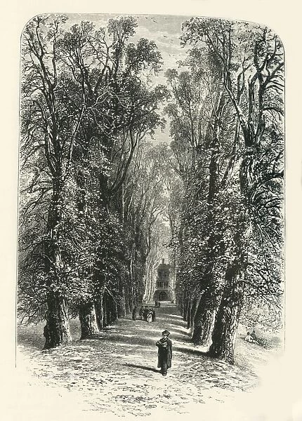 Trinity College Avenue, Cambridge, c1870