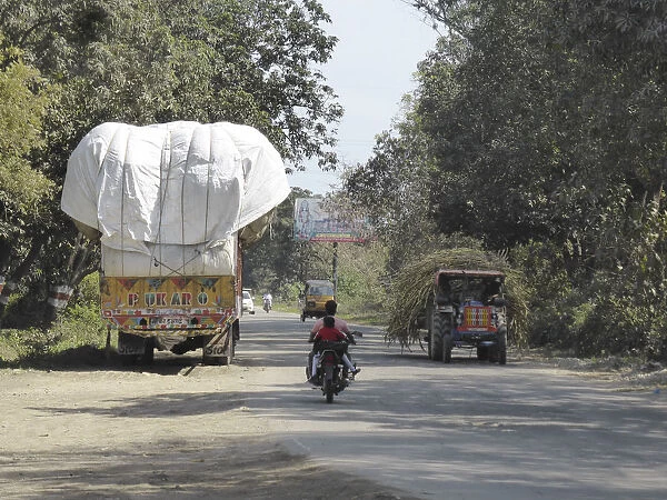 Trucks with heavy loads of sugar cane, Uttarakhand, India. Creator: Unknown
