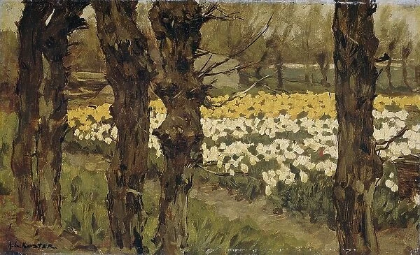 Tulip Fields, 1880-1937. Creator: Antonie Louis Koster