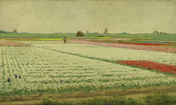Tulip Fields, 1890-1922. Creator: Gerrit Willem Dijsselhof