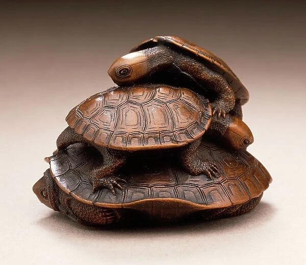 Turtle Group, early 19th century. Creator: Kano Tomokazu