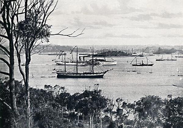 View of Sydney Harbour from North Shore, No. 1, c1900. Creator: Unknown