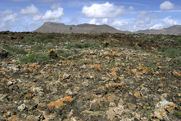 Volcanic landscape, Malpais Grande, Fuerteventura, Canary Islands