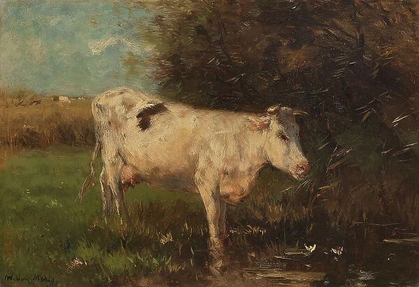 White Cow, c.1880-c.1910. Creator: Willem Maris
