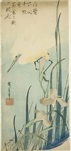 White heron and iris, c. 1832 / 34. Creator: Ando Hiroshige