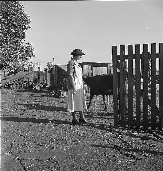 Wife of Farm Security Administration rural rehabilitation client, Tulare County, California, 1938. Creator: Dorothea Lange
