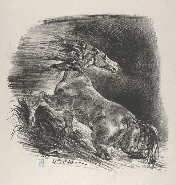 Wild Horse, 1828. 1828. Creator: Eugene Delacroix