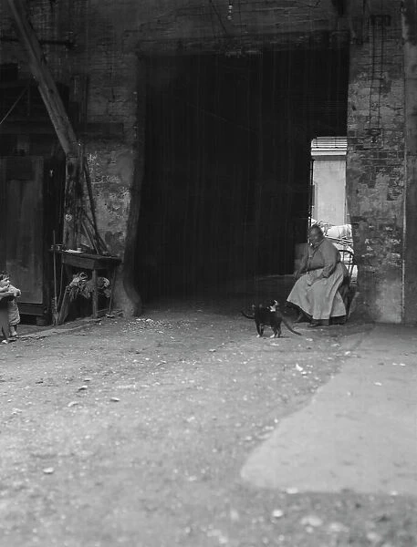 Woman and cats in a courtyard, New Orleans, between 1920 and 1926. Creator: Arnold Genthe