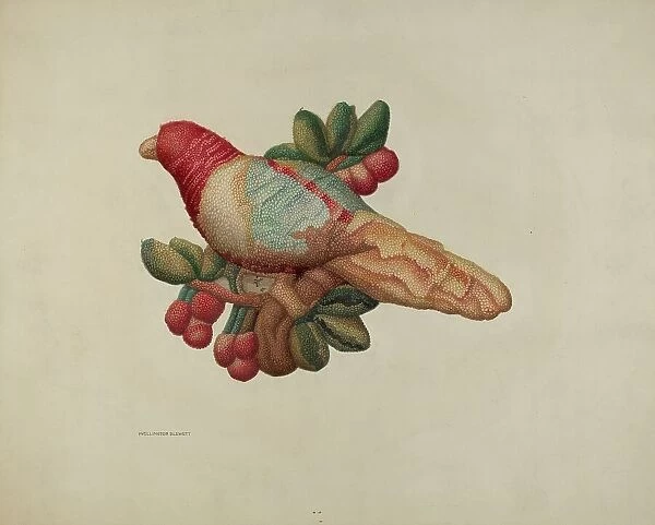Woolen Parrot, 1940. Creator: Wellington Blewett
