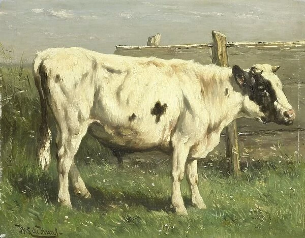 Young Bull, 1870-1892. Creator: Johannes Hubertus Leonardus de Haas