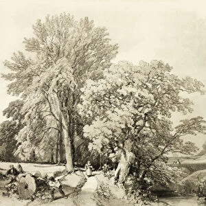 Abele and Oak, from The Park and the Forest, 1841. Creator: James Duffield Harding