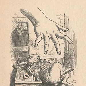 Alice putting her hand down to the White Rabbit, 1889. Artist: John Tenniel