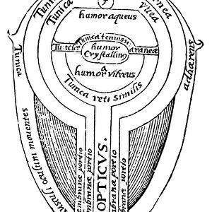Anatomy of the eye, 1572