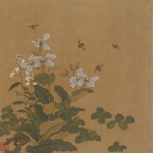 Bees hovering over flowers, Qing dynasty, 18th century. Creator: Unknown