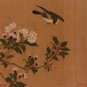A bird hovering over blossoming branches, Qing dynasty, 18th century. Creator: Unknown