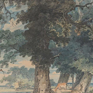 Deer in Windsor Forest, 1793-94. Creator: Thomas Girtin